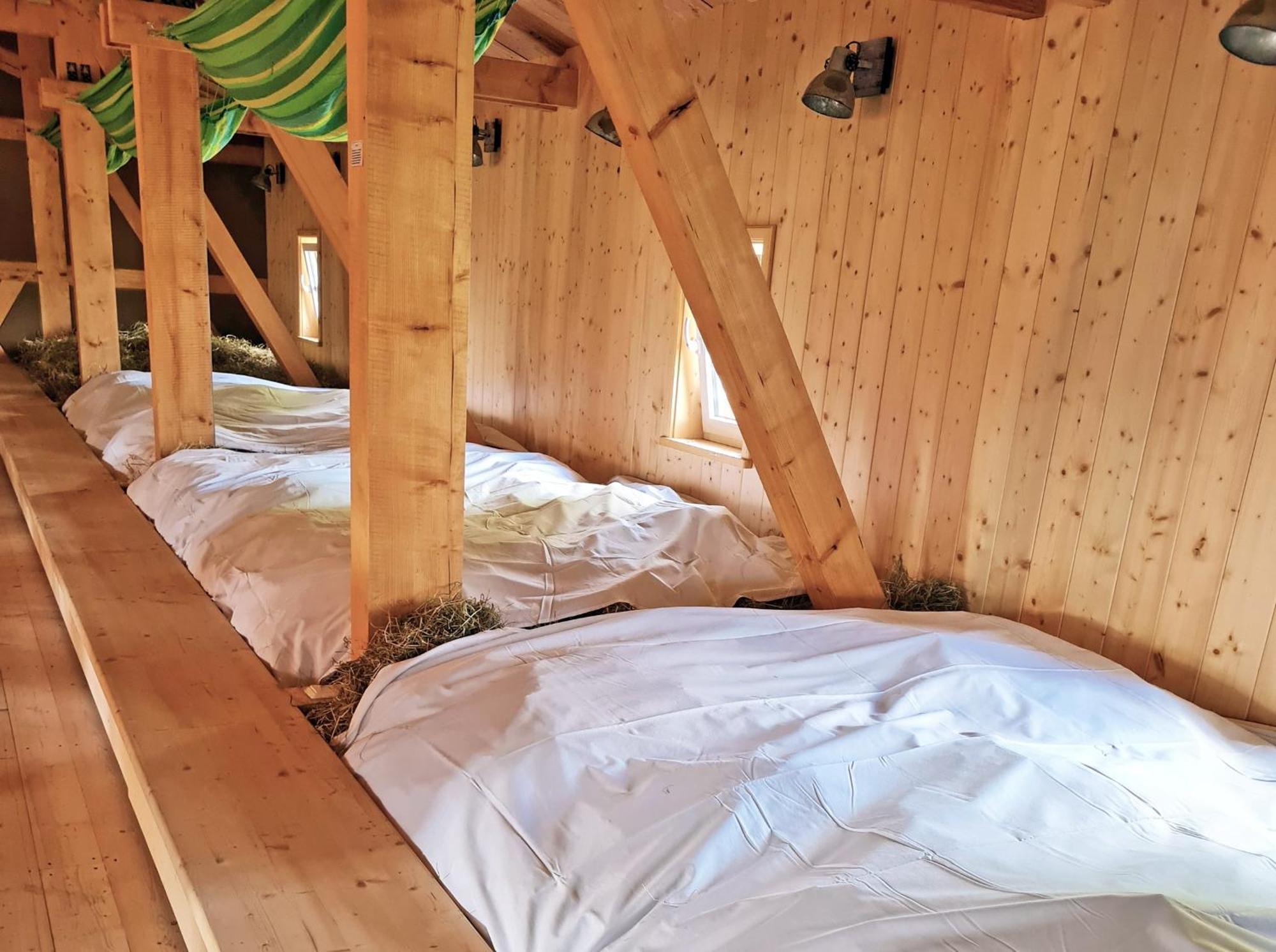 Familien- Und Apartmenthotel Lerchenberghof Walddorf  Szoba fotó